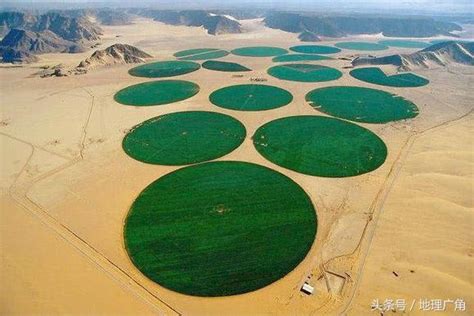 圓形農田|沙漠中的怪圈：沙烏地阿拉伯建在沙漠中的圓形農場